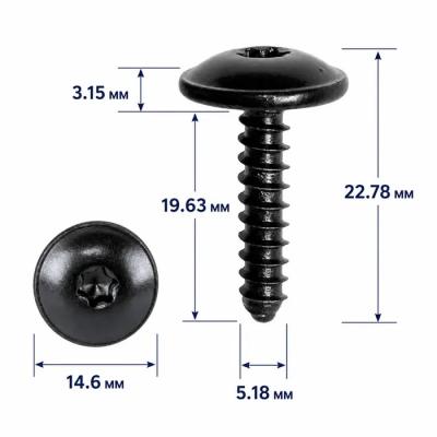 Саморезы VAG (ВАГ) Torx T25 5мм 20мм, Volkswagen (Фольксваген), Audi (Ауди), Skoda (Шкода), Seat (Сеат) Саморезы VAG (ВАГ) Torx T25 5мм 20мм, Volkswagen (Фольксваген), Audi (Ауди), Skoda (Шкода), Seat (Сеат)